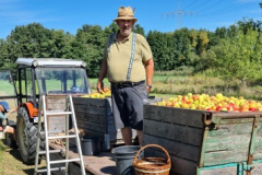08_Sammeln
