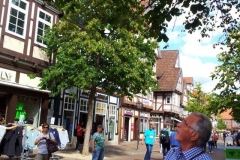 Celle 2016 019