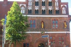 DLuen006