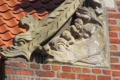 DLuen009
