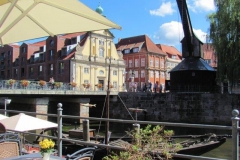 DLuen016