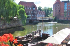 DLuen017