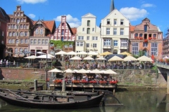 DLuen018