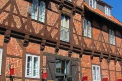 DLuen019