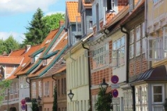 DLuen021