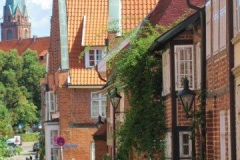 DLuen029