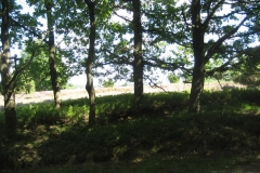heide006