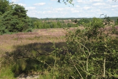 heide008