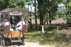 heide010