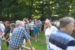 heide019