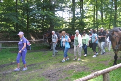 heide024