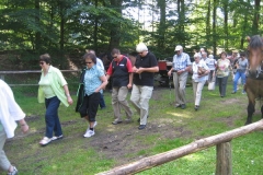 heide025