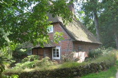 heide034