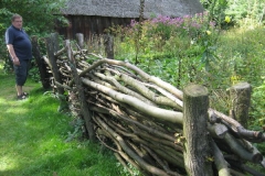 heide035