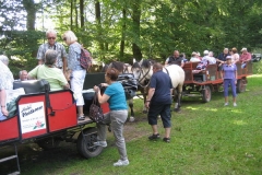 heide039