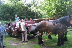 heide040