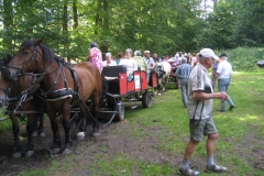 heide041