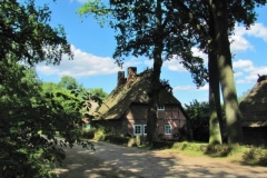 heide041