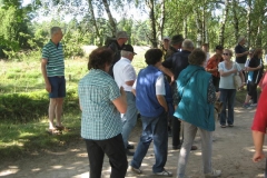heide047