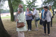 heide063