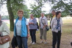 heide064