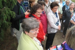 heide081