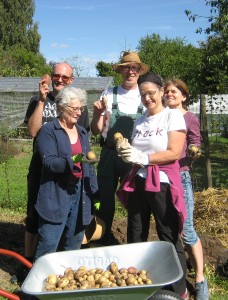 Ernte aus den Kartoffeltürmen